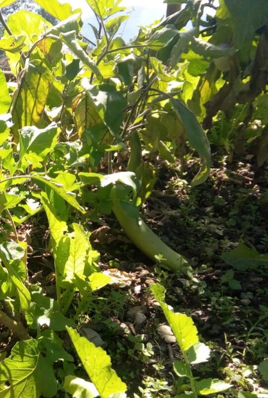 Martam Farmhouse بيلينغ المظهر الخارجي الصورة