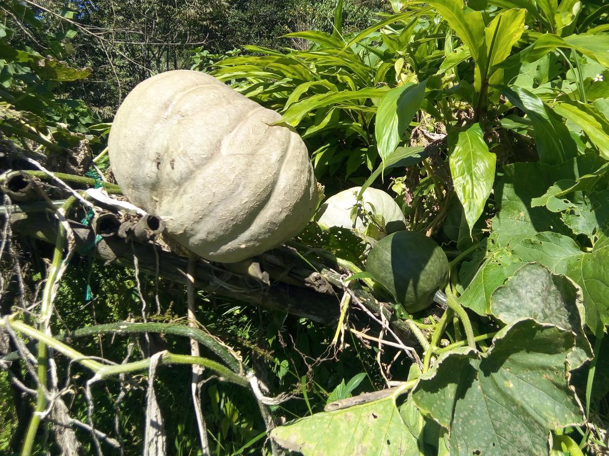 Martam Farmhouse بيلينغ المظهر الخارجي الصورة